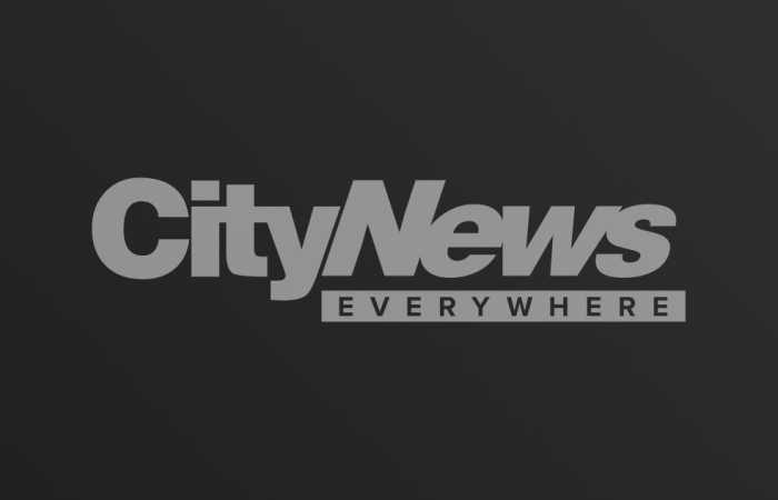 City News logo on dark gradient background