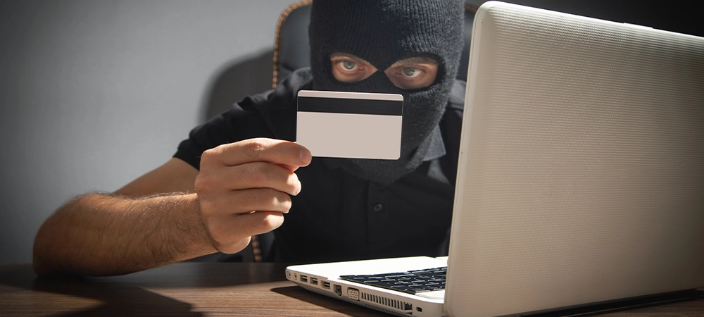 identity theft and credit card fraud